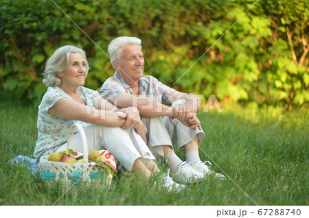Portrait of loving elderly couple having a picnic 67288740