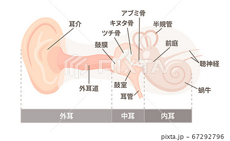 耳の構造のイラスト_外耳・中耳・内耳_器官の名称 67292796