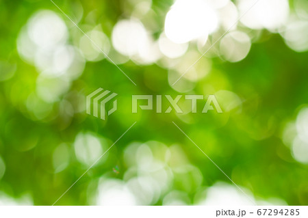 Beautiful abstract nature green soft light bokeh 67294285