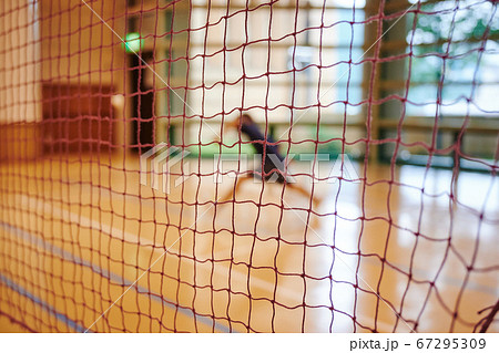 バドミントン バドミントン 67295309