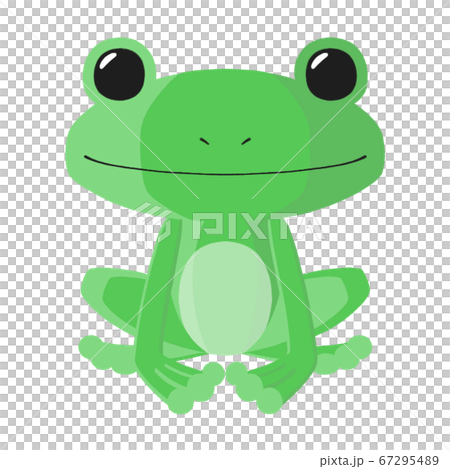 3D flavored frog 67295489
