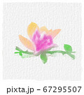 Watercolor pattern. Pink flower petal. watercolor drawing. 67295507