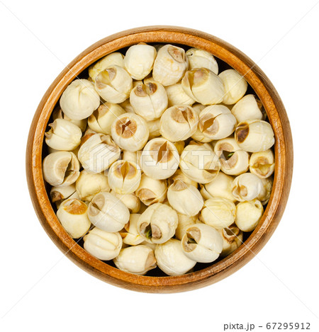Dried shelled white lotus nuts in wooden bowl. Edible seeds of Indian lotus. Nelumbo nucifera, also known as sacred lotus, bean of India or Egyptian bean, often called water lily. Macro food photo. 67295912