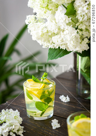 Cold cocktail with lemon, lime and mint Cold cocktail with lemon, lime and mint 67296850