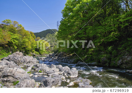 新緑の御岳渓谷　多摩川に架かる吊り橋　杣の小橋付近の河原からの下流側の風景 67296919