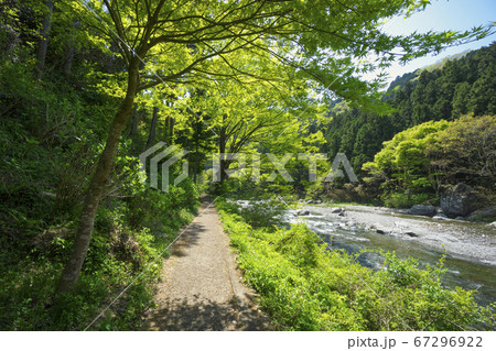 新緑の御岳渓谷　多摩川沿いの御岳渓谷遊歩道の風景 67296922