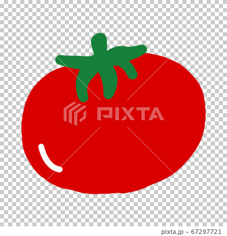 番茄彩色插圖[白色背景] 67297721