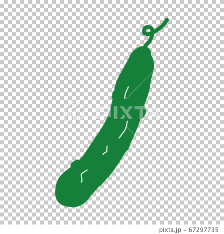 Cucumber color illustration [white background] 67297735
