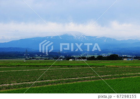 山形　初夏　田園風景と月山 67298155
