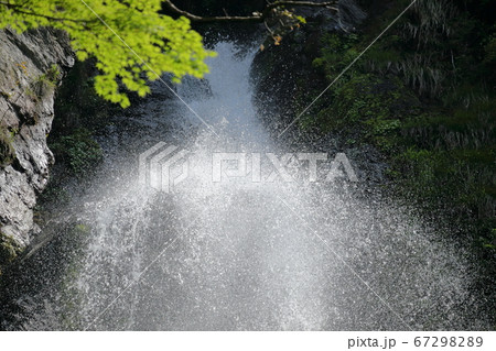 樽の滝 水しぶき舞う（高知県高知市） の写真素材 [67298289] - PIXTA