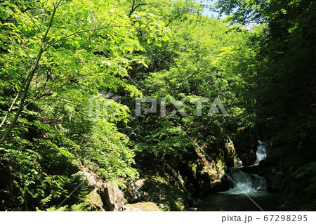 山形　初夏の鳥海山　二ノ滝トレッキング　間ノ滝 67298295