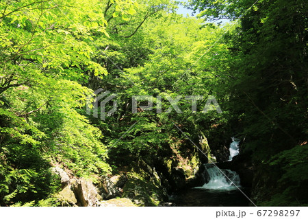 山形　初夏の鳥海山　二ノ滝トレッキング　間ノ滝 67298297