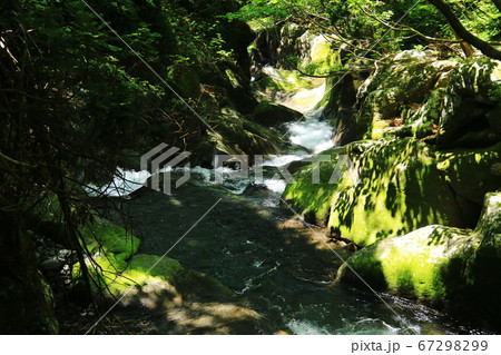 山形　初夏の鳥海山　二ノ滝トレッキング　間ノ滝 67298299