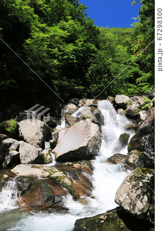 山形　初夏の鳥海山　二ノ滝トレッキング 67298300