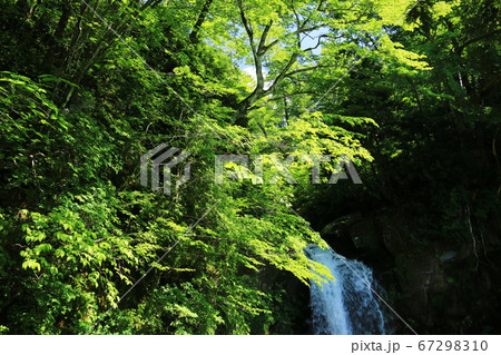山形 初夏の鳥海山 二ノ滝トレッキング 一ノ滝 山形 初夏の鳥海山 二ノ滝トレッキング 一ノ滝 67298310
