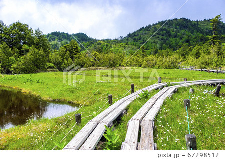 四十八池湿原と裏志賀山 67298512