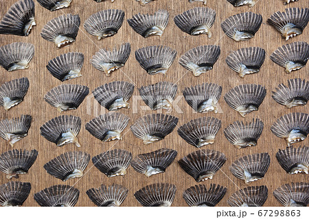 フグひれの乾燥	 67298863