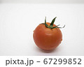 トマト 67299852