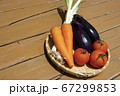 夏の野菜 67299853