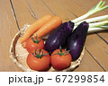 夏の野菜 67299854