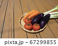 夏の野菜 67299855