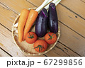 夏の野菜 67299856