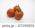 トマト 67299858