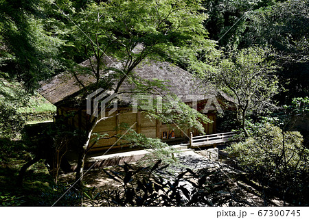 室生寺 金堂 室生寺 金堂 67300745