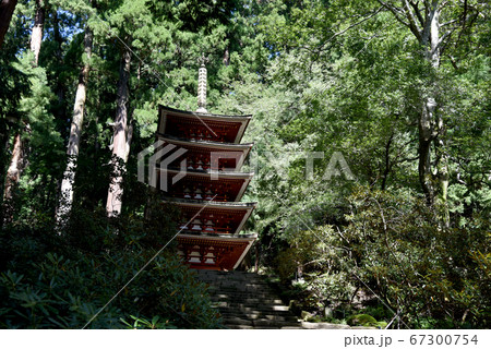 室生寺　五重塔 67300754