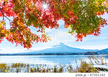 油絵 絵画 【紅葉の富士山】 a-9234.jpg