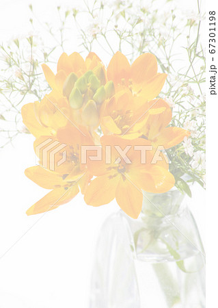 オレンジ色のお祝いにふさわしいブーケ オレンジ色のお祝いにふさわしいブーケ 67301198