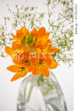 オレンジ色のお祝いにふさわしいブーケ 67301201