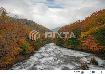 竜頭の滝 紅葉 竜頭の滝 紅葉 67301331