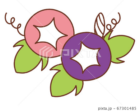 朝顔_3 朝顔_3 67301485