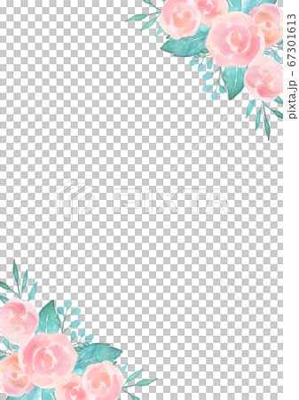 Pink rose background material watercolor style 67301613