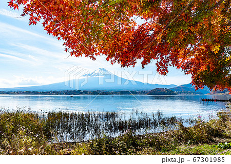 水彩画】山梨県大石公園から望む河口湖と富士山【紅葉】のイラスト素材 [67301985] - PIXTA