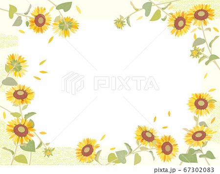 ひまわり 67302083