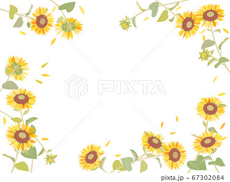向日葵-插圖素材[67302084] - PIXTA圖庫