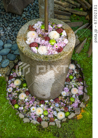 埼玉県行田市 行田八幡神社の花手水の写真素材