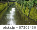苔むす川 67302430