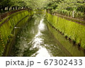 苔むす川 67302433