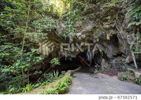 沖縄県 石垣島 サビチ鍾乳洞 沖縄県 石垣島 サビチ鍾乳洞 67302571