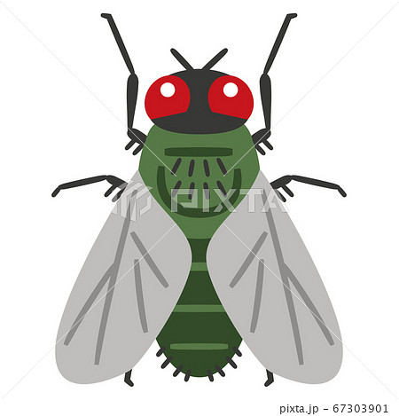 Fly pan and fly back - Stock Illustration [17537999] - PIXTA