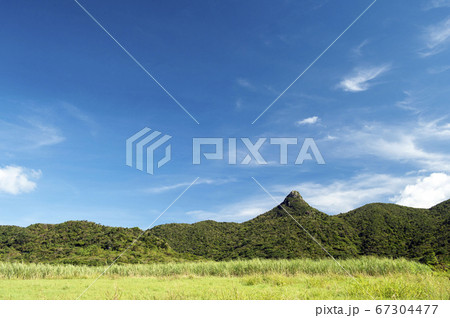 沖縄県 石垣島 野底岳 沖縄県 石垣島 野底岳 67304477