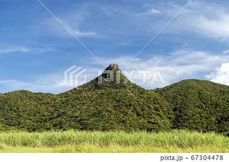 沖縄県　石垣島の野底岳 67304478