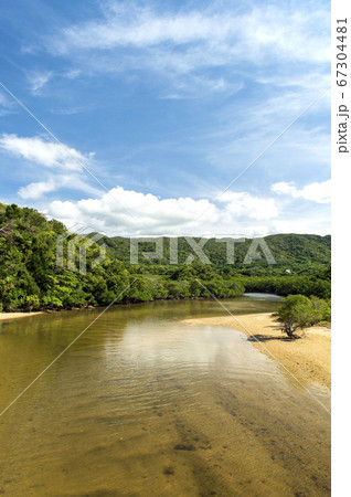沖縄県 石垣島 吹通川マングローブ郡落 沖縄県 石垣島 吹通川マングローブ郡落 67304481