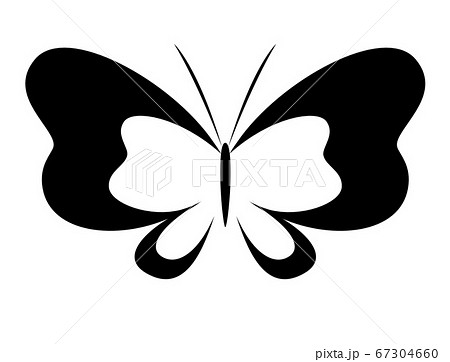 シンプルでモノクロな蝶のイラスト素材 67304660 Pixta