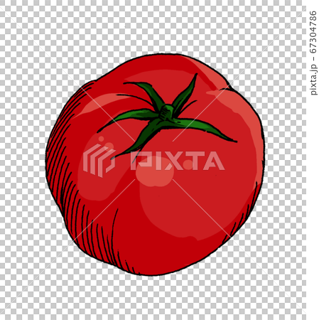 トマト カラー イラストのイラスト素材