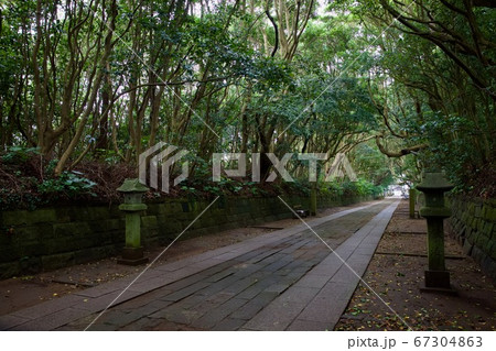 酒列磯前神社の参道 67304863