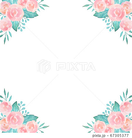 ピンク色のバラ 背景素材 水彩風 正方形のイラスト素材